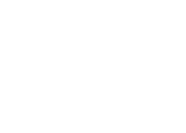 Spreefirit